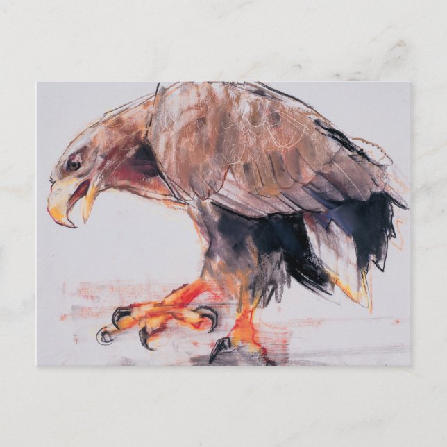 Raptor 2001 vykort (Framsida)