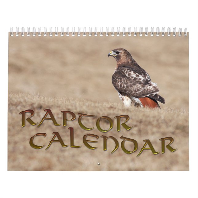 Raptor Calendar Kalender (Omslag)
