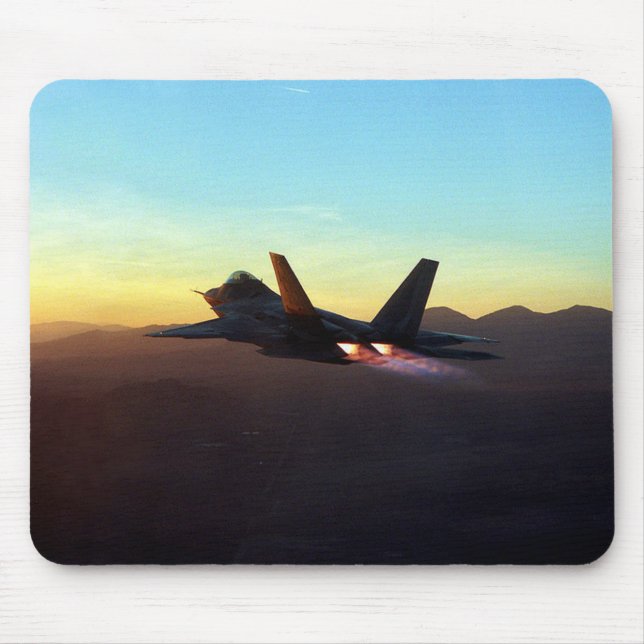 Raptor F-22 Musmatta (Framsidan)