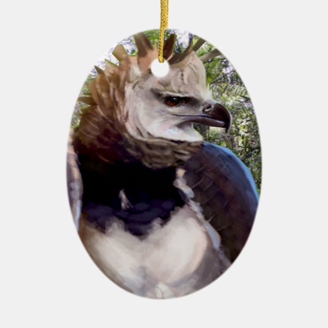 "Raptor" Julgransprydnad Keramik (Framsidan)