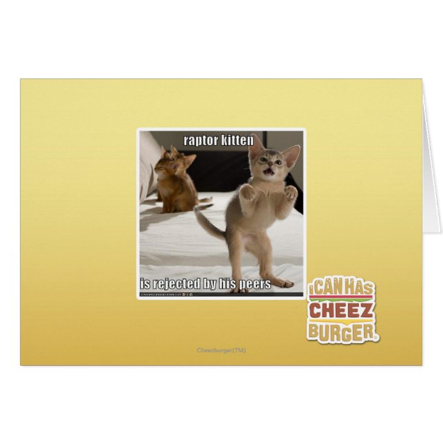 Raptor Kitten Hälsningskort (Framsidan Horizontal)