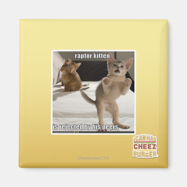 Raptor Kitten Magnet (Framsidan)