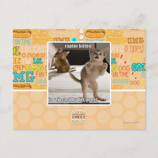 Raptor Kitten Vykort (Framsida)