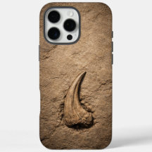 Raptor Klö Fossil