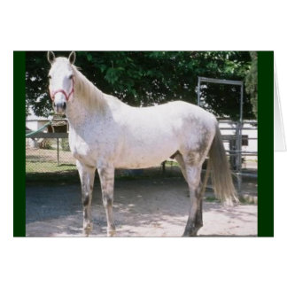 Rapturous Hälsningskort