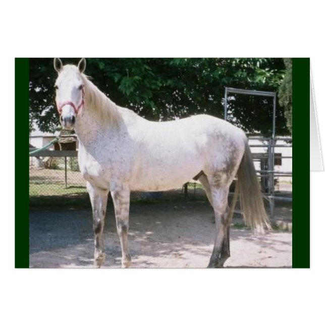 Rapturous Hälsningskort (Framsidan Horizontal)