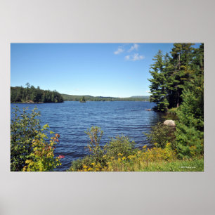 Raquette som är stripig i det Adirondack trycket Poster