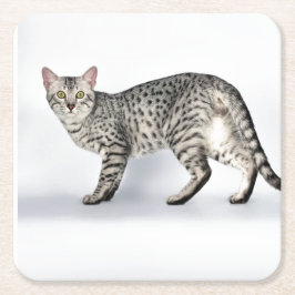 Rare Egyptian Mau Cat Underlägg Papper Kvadrat