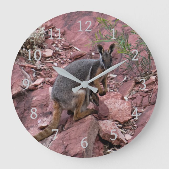 Rare Yellow-footed Rock Wallaby and Baby Australia Stor Klocka (Framsida)