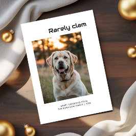 Rarely Christmas dog Holiday Card Julkort