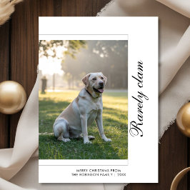 Rarely Christmas Dog Holiday Card | Pet Photo Julkort