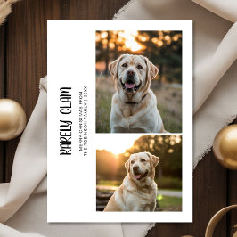 Rarely Christmas Outdoor 2 Dog Photo Card Julkort