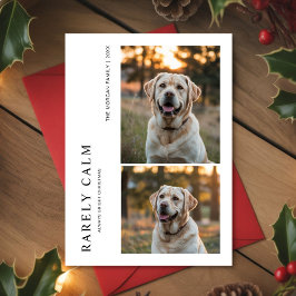 Rarely Christmas Park Outdoor Dog Holiday card Julkort