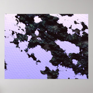Rarken Poster