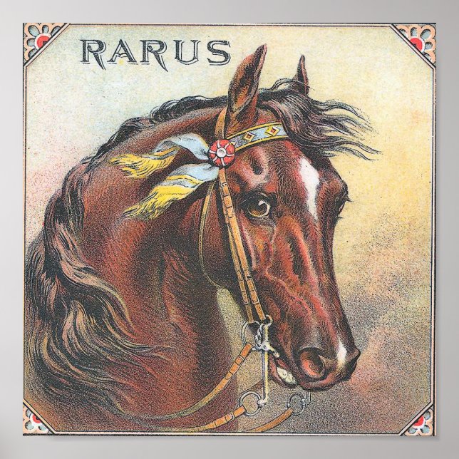 Rarus Vintage Racehorse Porträtt Poster (Framsidan)