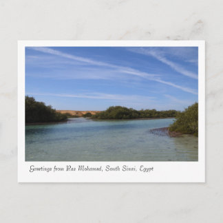Ras Mohamed Nature Preserve Park, Sinai, Egypten Vykort