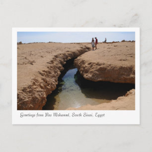 Ras Mohamed Nature Preserve Park, Sinai, Egypten Vykort