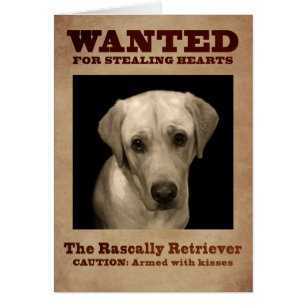 Rascally Retriever, aka gul lab Hälsningskort