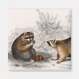 Rasionens vintage illustreras magnet