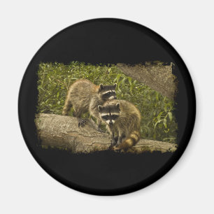 Rasioner Magnet