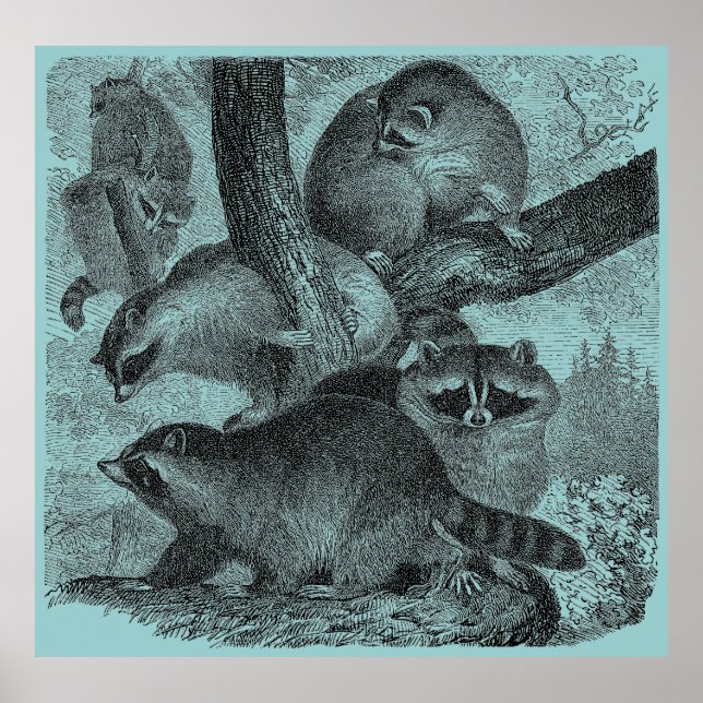 Rasioner Poster (Framsidan)