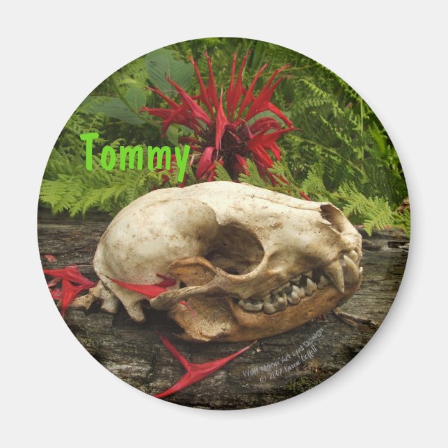 Rasionskallelogg med ferner och röd Monarda Magnet (Framsidan)