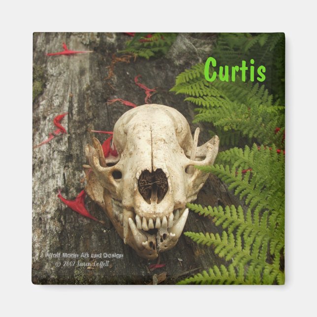 Rasionskallelogg med ferner och röd Monarda Magnet (Framsidan)