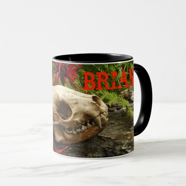 Rasionskallelogg med ferner och röd Monarda Mugg (Framsida höger)