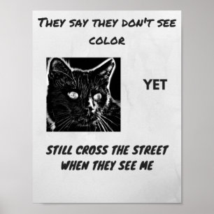 Rasismens vidskepelse, svart kattcitat poster