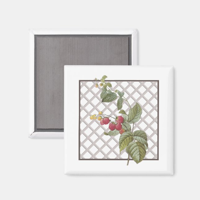 RASPBERRIES MAGNET (Front/Back)