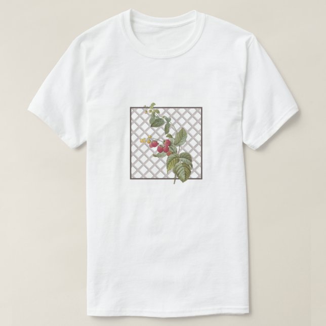 RASPBERRIES T SHIRT (Design framsida)