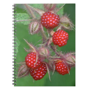 Raspberry-anteckningsbok Anteckningsbok Med Spiral