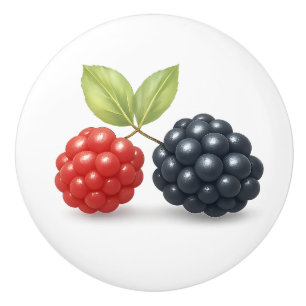 Raspberry Blackberry Fruit Illustration Watercolor Knopp