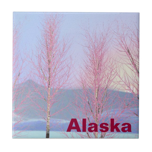 Raspberry Creme Birch Kakelplatta (Framsidan)