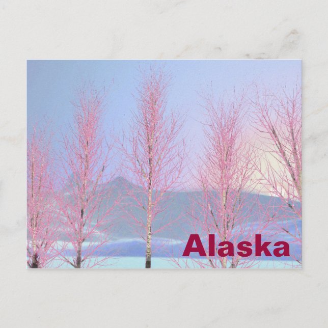 Raspberry Creme Birch Vykort (Framsida)
