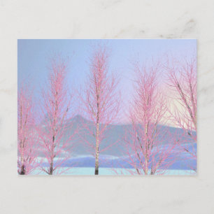 Raspberry Creme Birch Vykort