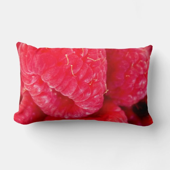 Raspberry Delight Lumbar Pillow Lumbarkudde (Framsida)