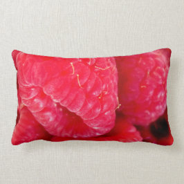 Raspberry Delight Lumbar Pillow Lumbarkudde