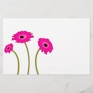 Raspberry Gerber Daisy