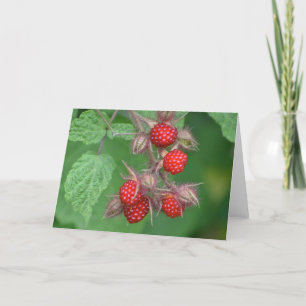 Raspberry Notecard Kort