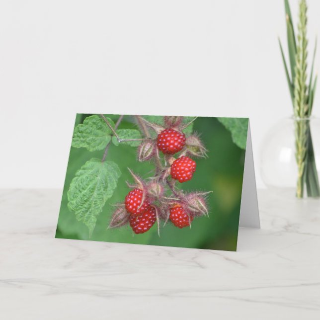 Raspberry Notecard Kort (Framsida)