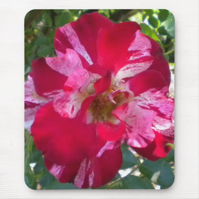 Raspberry Ro Mouse Pad Musmatta (Framsidan)