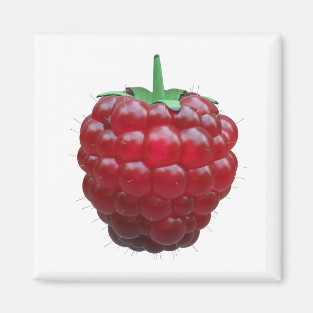 Raspiberry Magnet (Framsidan)