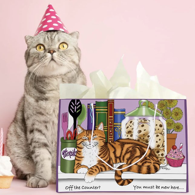 Rassig orange tabby köksdisk katt Rolig (Skapare uppladdad)