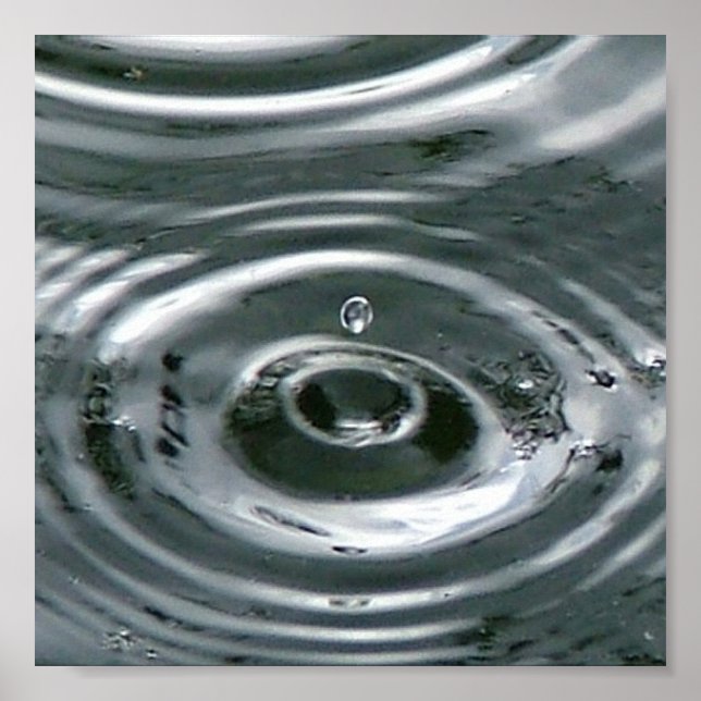 Rastreringssläpp Poster (Framsidan)