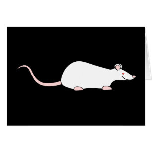 Rat. för vitAlbinohusdjur Hälsningskort