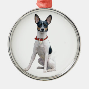 Rat Terrier (A) Julgransprydnad Metall
