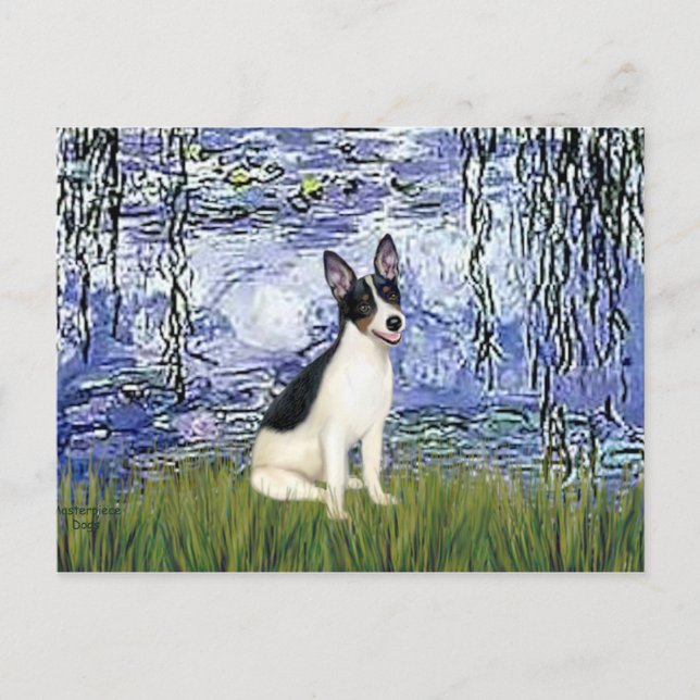 Rat Terrier - Liljor 6 Vykort (Framsida)