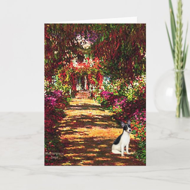 Rat Terrier - Stigen Kort (Framsida)