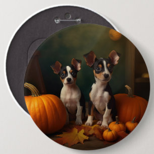 Rat Terrier Valp Höstglädje Pumpa Knapp